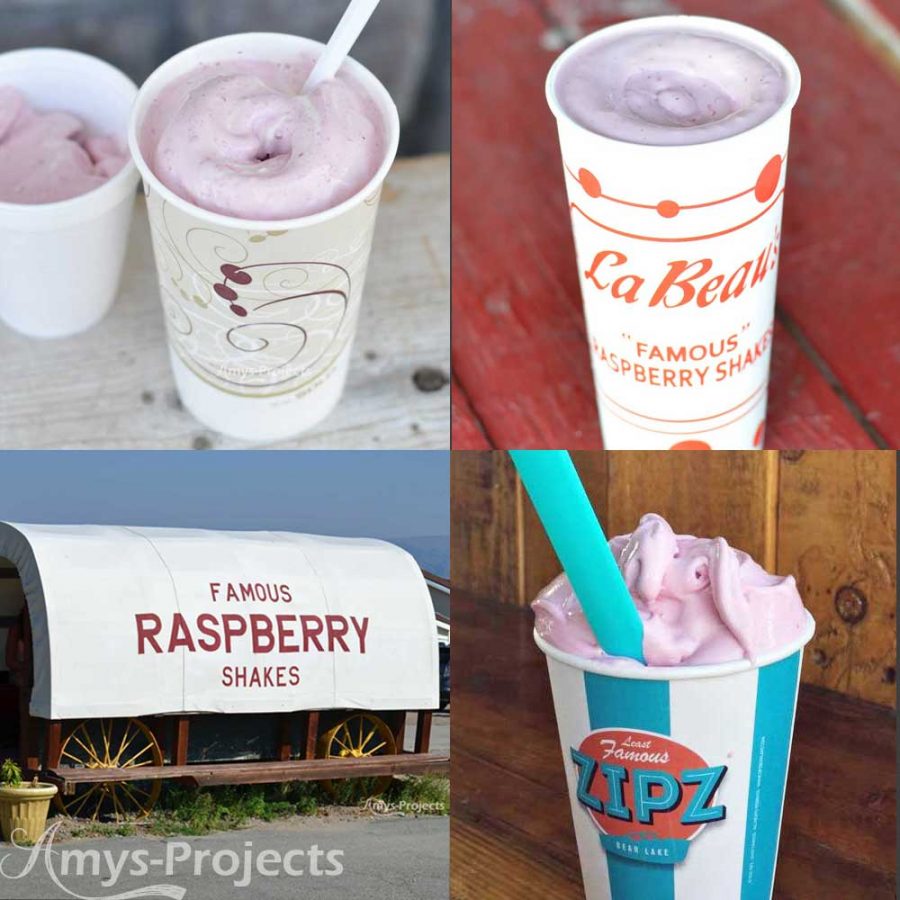 bear-lake-raspberry-shake-showdown